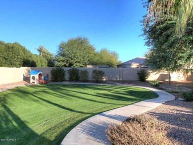 Backyard2