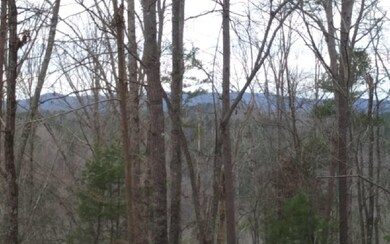 Additional View