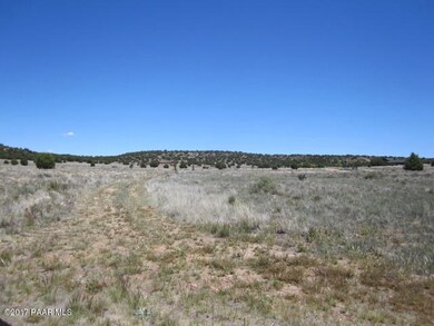 0 E Cougar Ridge Rd unit 1003603, Paulden, AZ 86334 - photo 2