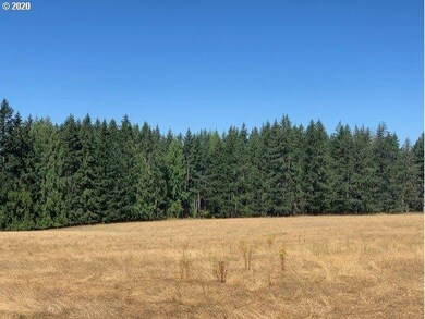 0 S Trout Creek Rd unit 800 20338653, Molalla, OR 97038 - photo 6