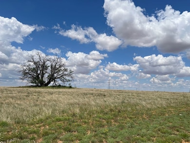000 Round Top Rd, Snyder, TX 79549 - photo 2