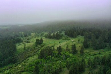 DJI_0836
