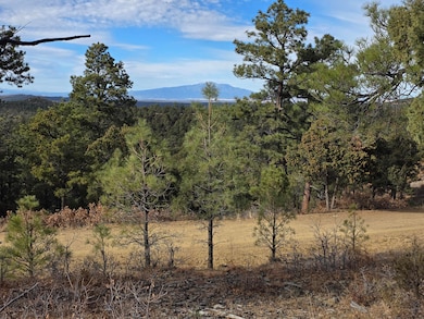 0 Rugby Mines Rd unit 138, Aguilar, CO 81020 - photo 3