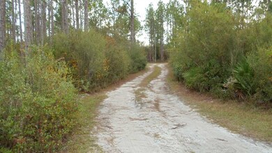 0 Peaceful Ln unit 313172, Crawfordville, FL 32327 - photo 4