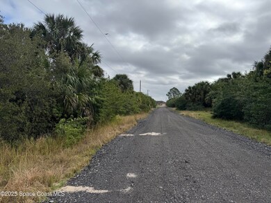 000 Unknown St SW, Palm Bay, FL 32908 - photo 4