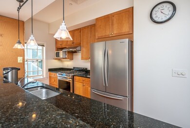 195 High St unit 301, Brookline, MA 02445 - photo 6