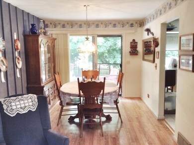 1175 Pleasant Ct, Batavia, IL 60510 - photo 6