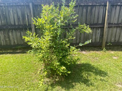 blueberry bush with blueberries