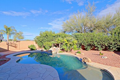 Backyard 5