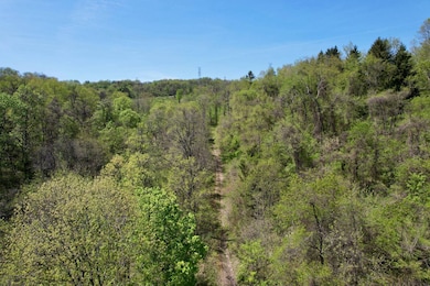 2831 Kelly Hollow Rd, Monongahela, PA 15063 - photo 5