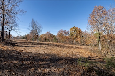 14416 Truelove Rd, West Fork, AR 72774 - photo 6