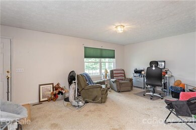 904 Staton Rd, Flat Rock, NC 28731 - photo 5