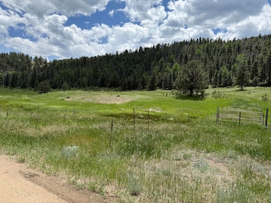 7700 Junkins Park, Westcliffe, CO 81252 - photo 5