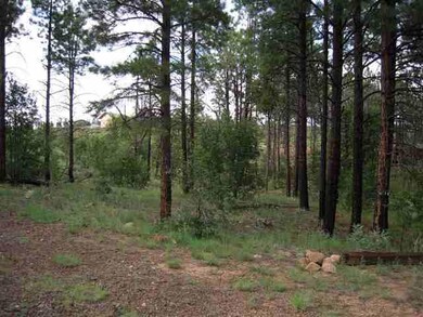 6214 Juniper Ridge, Show Low, AZ 85901 - photo 7