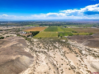 TBD 1375 Rd, Delta, CO 81416 - photo 7