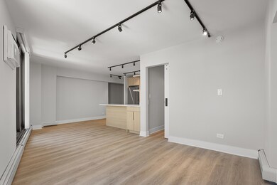 6166 N Sheridan Rd unit 20C, Chicago, IL 60660 - photo 7