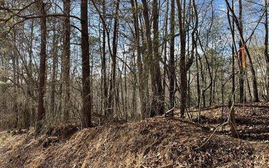 L2458 Montage Dr, Ellijay, GA 30540 - photo 4