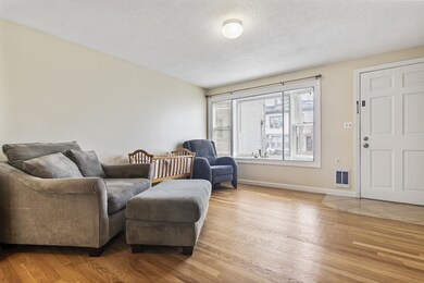 123 Falcon St unit 4, Boston, MA 02128 - photo 4