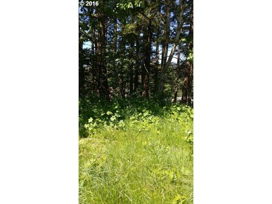 0 Skamania Landing Rd unit 9 16353891, Skamania, WA 98648 - photo 6