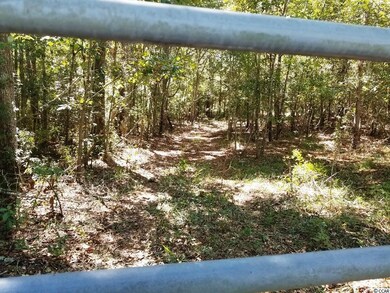 TBD1 State Highway 548, Conway, SC 29527 - photo 7