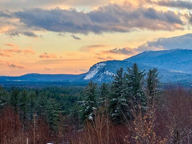 29 Beechwoods at Intervale Rd, Bartlett, NH 03845 - photo 2