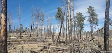 Lot 585 Leslie Loop unit 585, Fort Garland, CO 81133 - photo 5