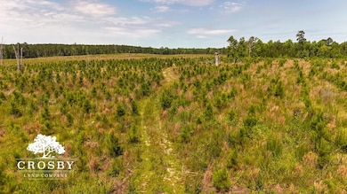 0 Alexander-Munnerlyn Rd, Waynesboro, GA 30830 - photo 7