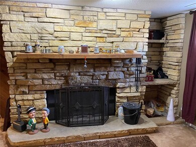Wood Burning Fireplace in lower level Family Room