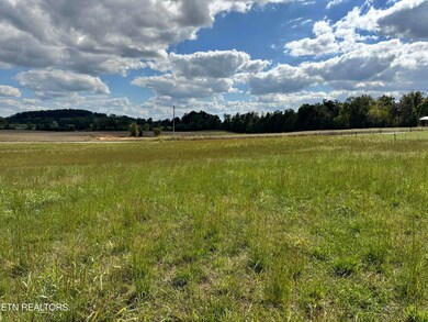 0 Raymond Rd, Monroe, TN 38573 - photo 4