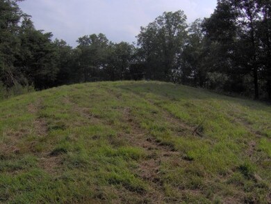 0 Old Stage Coach Rd unit 750408, Rutledge, TN 37861 - photo 2