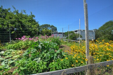 Gardens galore