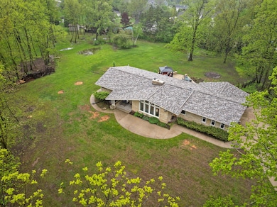 View from the tree tops