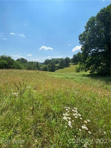 99999 Tweed Rd, Leicester, NC 28748 - photo 3