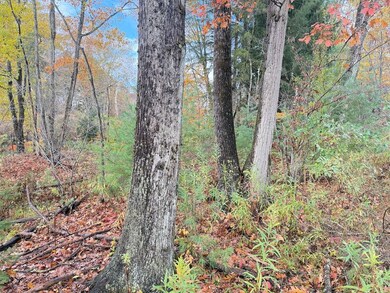 2117 Route 666, Sheffield, PA 16347 - photo 4