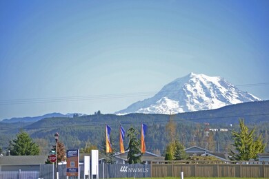 105 Balmer St SW, Orting, WA 98360 - photo 5