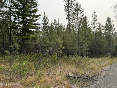 NKA W Remington Rd, Athol, ID 83801 - photo 4