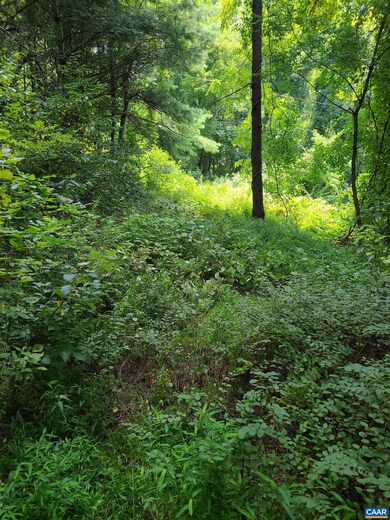 0 Shifflett Rd unit 634201, Dyke, VA 22935 - photo 2