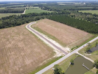 0 Swan Rd, Fitzgerald, GA 31750 - photo 5