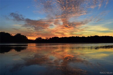 9093 E Pinehurst Ct, Inverness, FL 34450 - photo 6