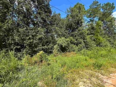 0 Liatrus Ln unit 12 384772, Seminole, AL 36574 - photo 5