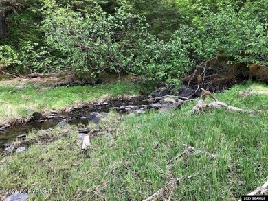 L13 E Channel Legal Address Only, Wrangell, AK 99929 - photo 6