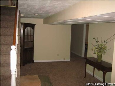 basement view from steps