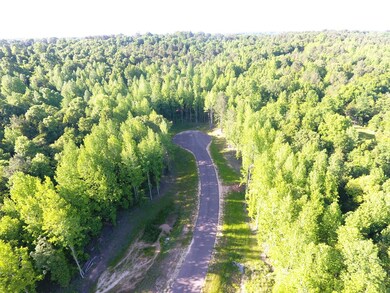 200 Philippians Rd, Oxford, MS 38655 - photo 5