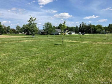 TBD First, Minden City Vlg, MI 48456 - photo 4