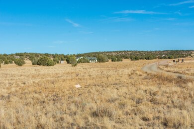 1120 E Cougar Ridge Rd, Paulden, AZ 86334 - photo 7