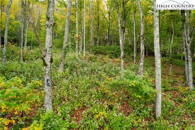R-7 Eagle Camp Overlook, Banner Elk, NC 28604 - photo 6