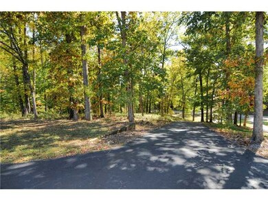 Newly Paved Driveway Lined With Mature Trees.   Vi