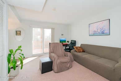 20 Michael Ct, Staten Island, NY 10308 - photo 3