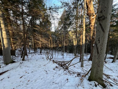 . Lewis Rd, Chateaugay, NY 12920 - photo 5