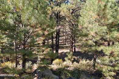 6040 W Saskan Ranch Cir, Flagstaff, AZ 86001 - photo 2